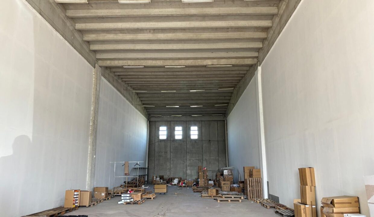 WhatsApp Image 2025-03-27 at 16.33.20