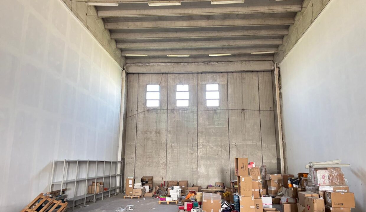 WhatsApp Image 2025-03-27 at 16.33.20 (2)