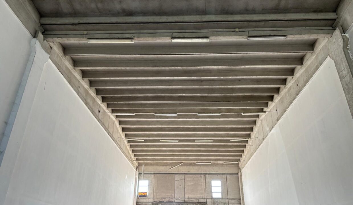 WhatsApp Image 2025-03-27 at 16.33.20 (4)