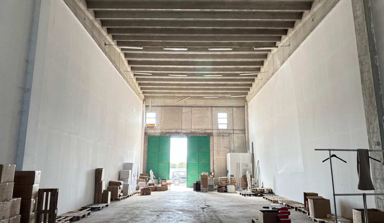 WhatsApp Image 2025-03-27 at 16.33.20 (5)