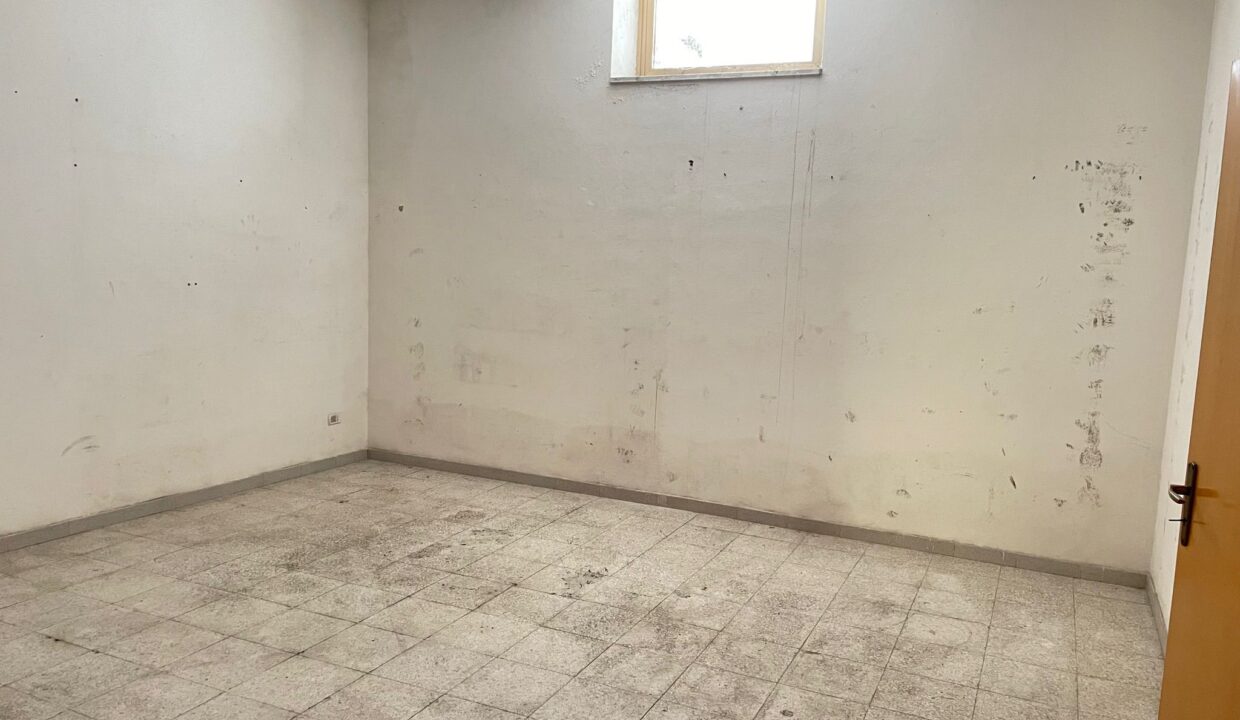 WhatsApp Image 2023-09-11 at 09.30.28 (2)