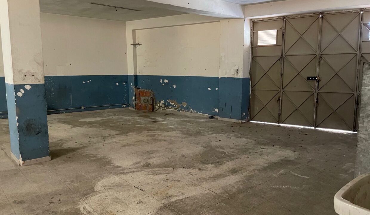 WhatsApp Image 2023-09-11 at 09.30.29 (1)