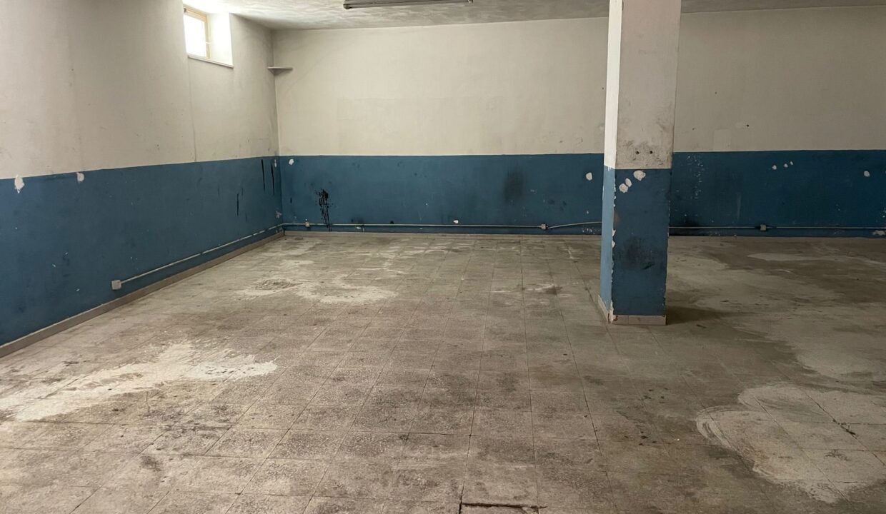 WhatsApp Image 2023-09-11 at 09.30.29