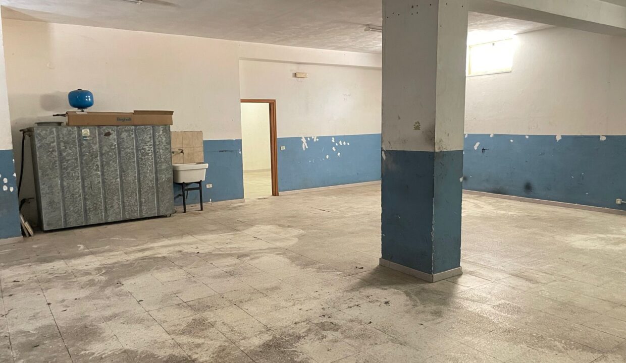 WhatsApp Image 2023-09-11 at 09.30.30 (1)