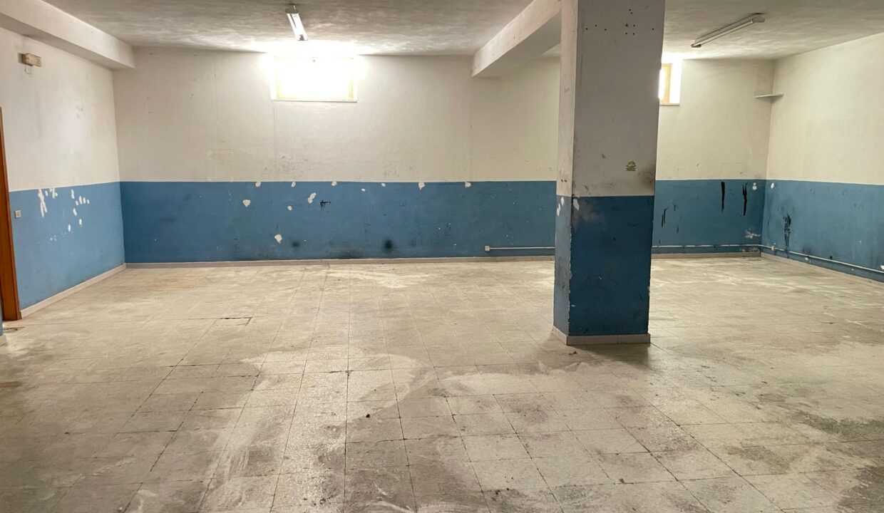 WhatsApp Image 2023-09-11 at 09.30.30