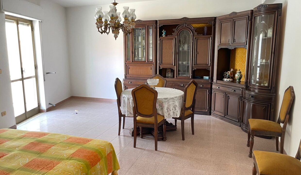 WhatsApp Image 2023-09-11 at 09.30.31