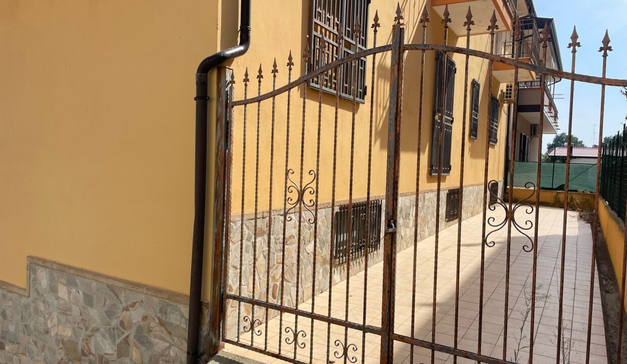 WhatsApp Image 2023-09-11 at 09.30.39