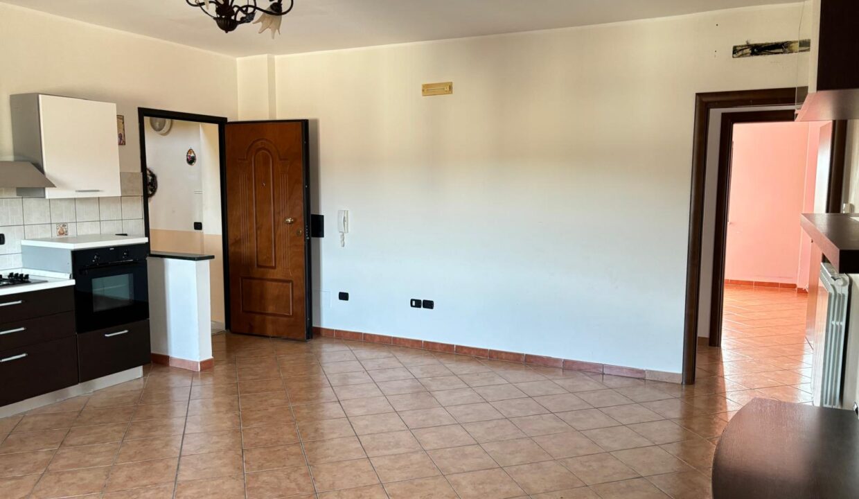 WhatsApp Image 2024-10-04 at 09.50.46 (3)