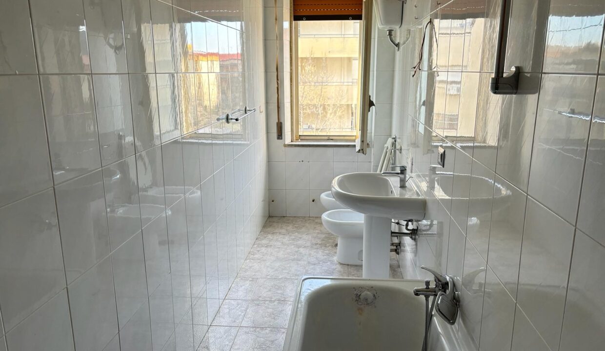 WhatsApp Image 2024-02-01 at 18.28.50 (12)