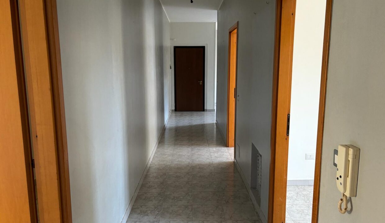 WhatsApp Image 2024-02-01 at 18.28.50 (14)