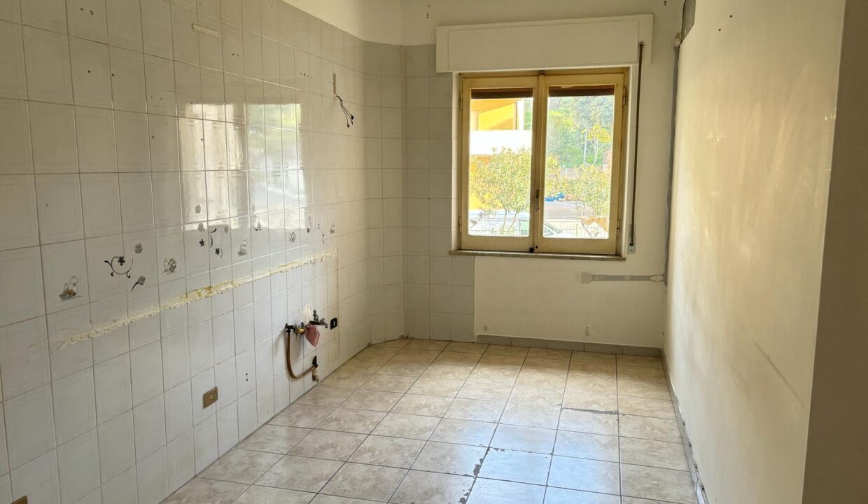 WhatsApp Image 2024-02-01 at 18.28.50 (9)