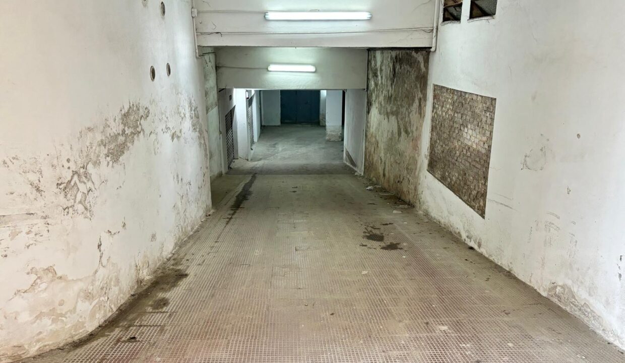 WhatsApp Image 2024-10-24 at 17.58.58 (12)