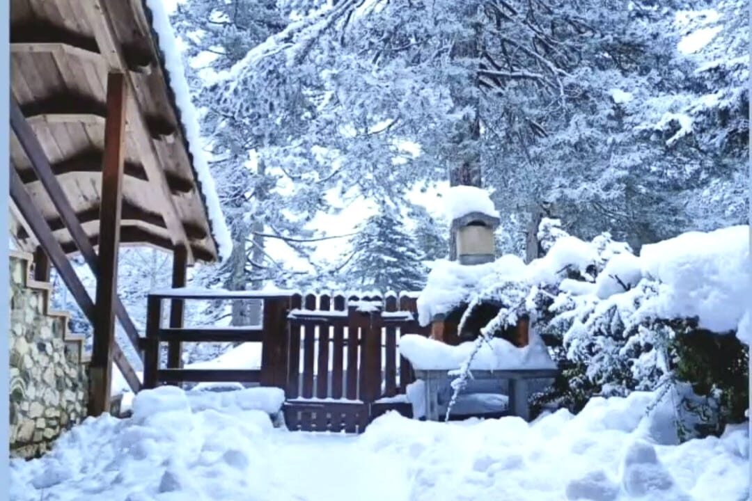 WhatsApp Image 2025-02-11 at 13.52.49 (1)