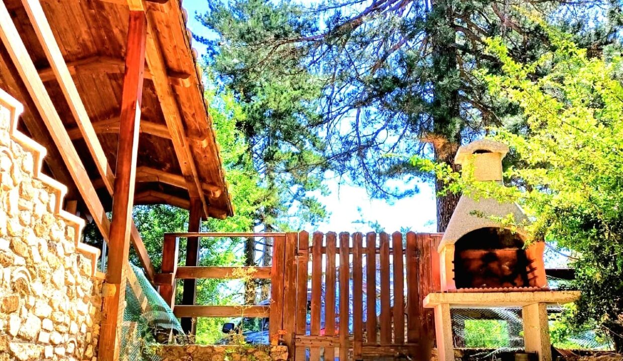 WhatsApp Image 2025-02-11 at 13.52.49 (2)