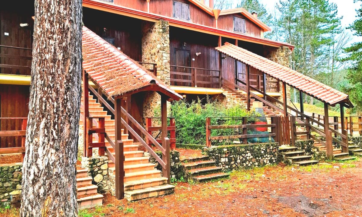 WhatsApp Image 2025-02-11 at 13.52.49 (3)