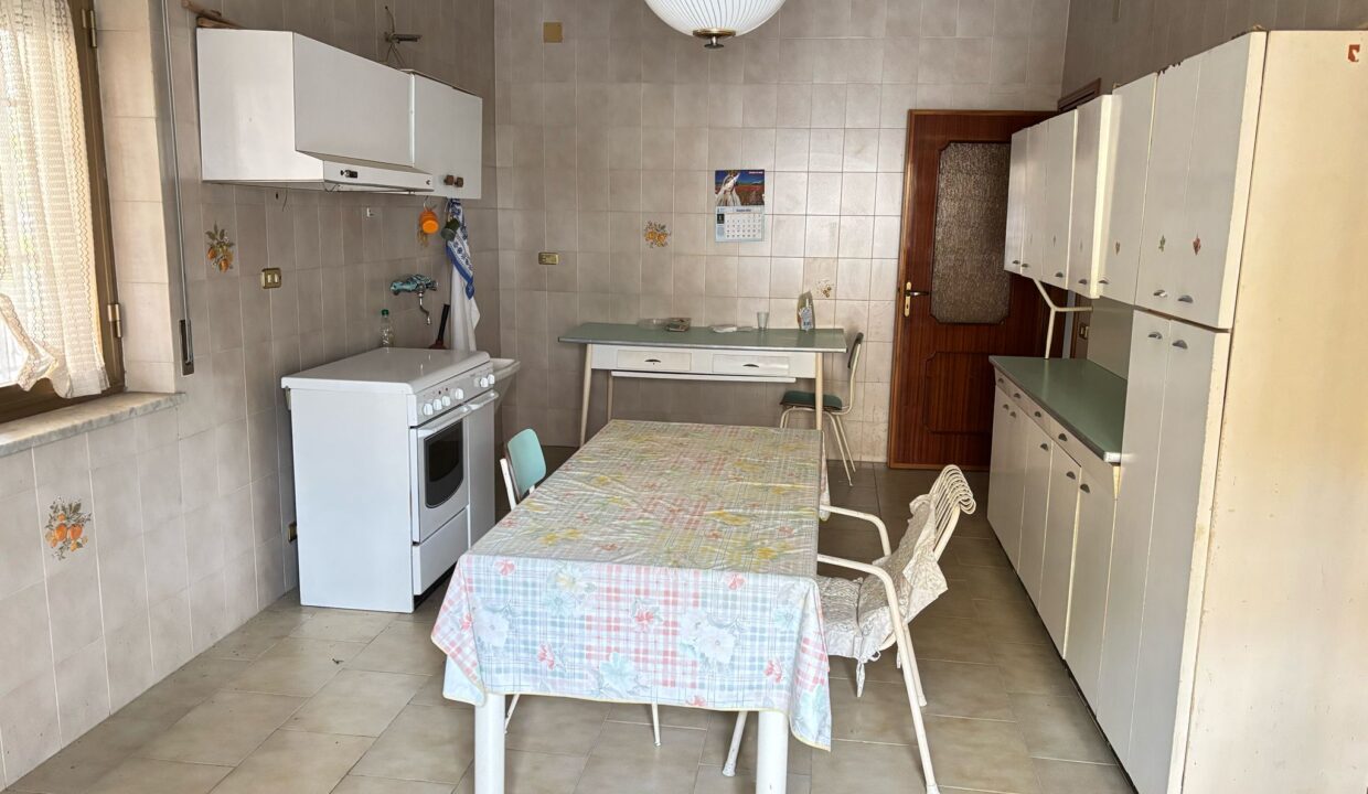 WhatsApp Image 2025-04-29 at 16.40.15 (1)