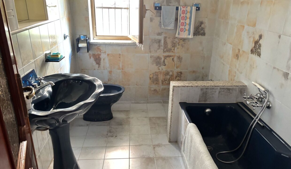 WhatsApp Image 2025-04-29 at 16.40.16 (1)