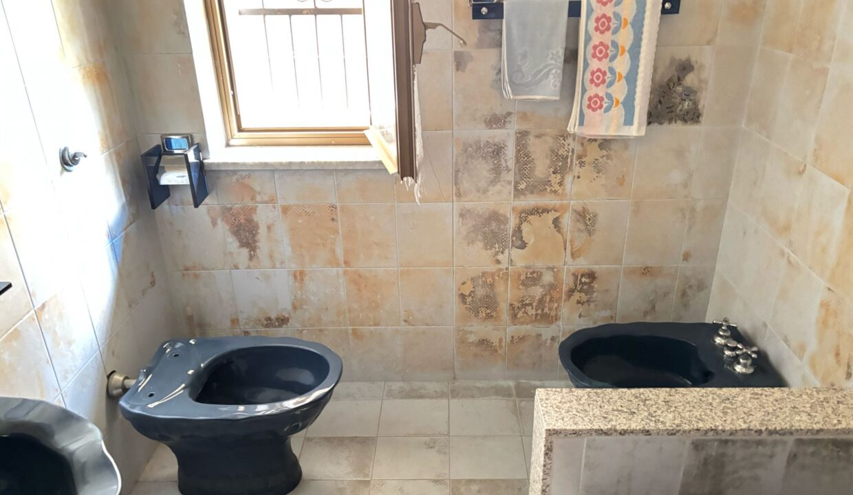 WhatsApp Image 2025-04-29 at 16.40.17