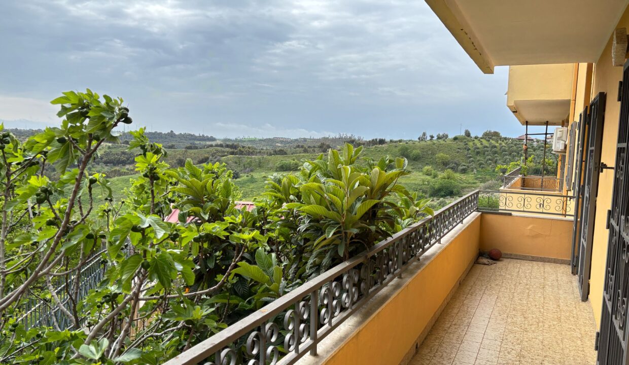 WhatsApp Image 2025-04-29 at 16.40.18 (6)