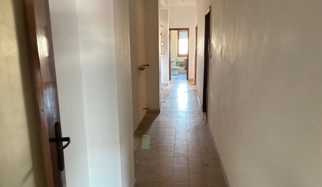 WhatsApp Image 2025-07-03 at 12.36.23 (1)