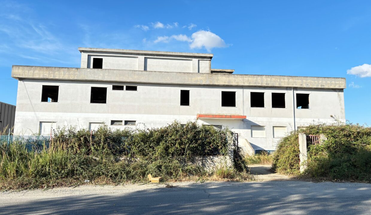 WhatsApp Image 2025-09-19 at 10.19.35 (4)