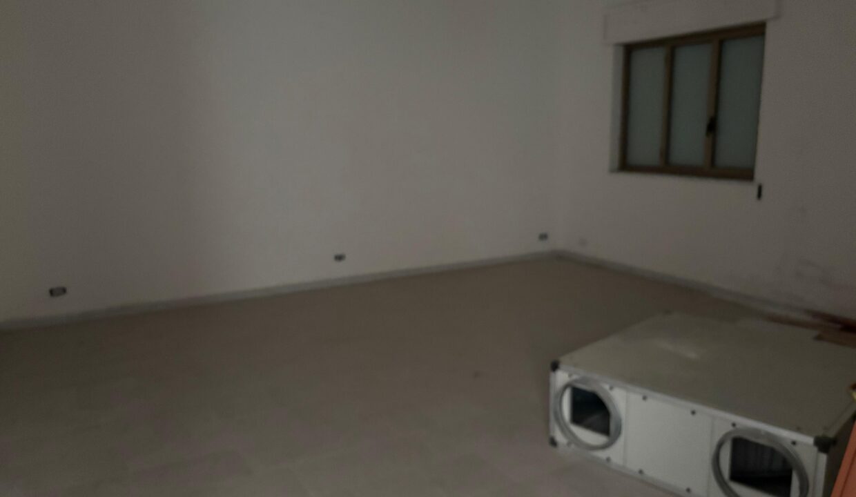 WhatsApp Image 2025-09-19 at 10.19.36 (1)