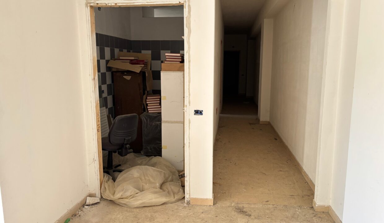 WhatsApp Image 2025-09-19 at 10.19.36 (2)