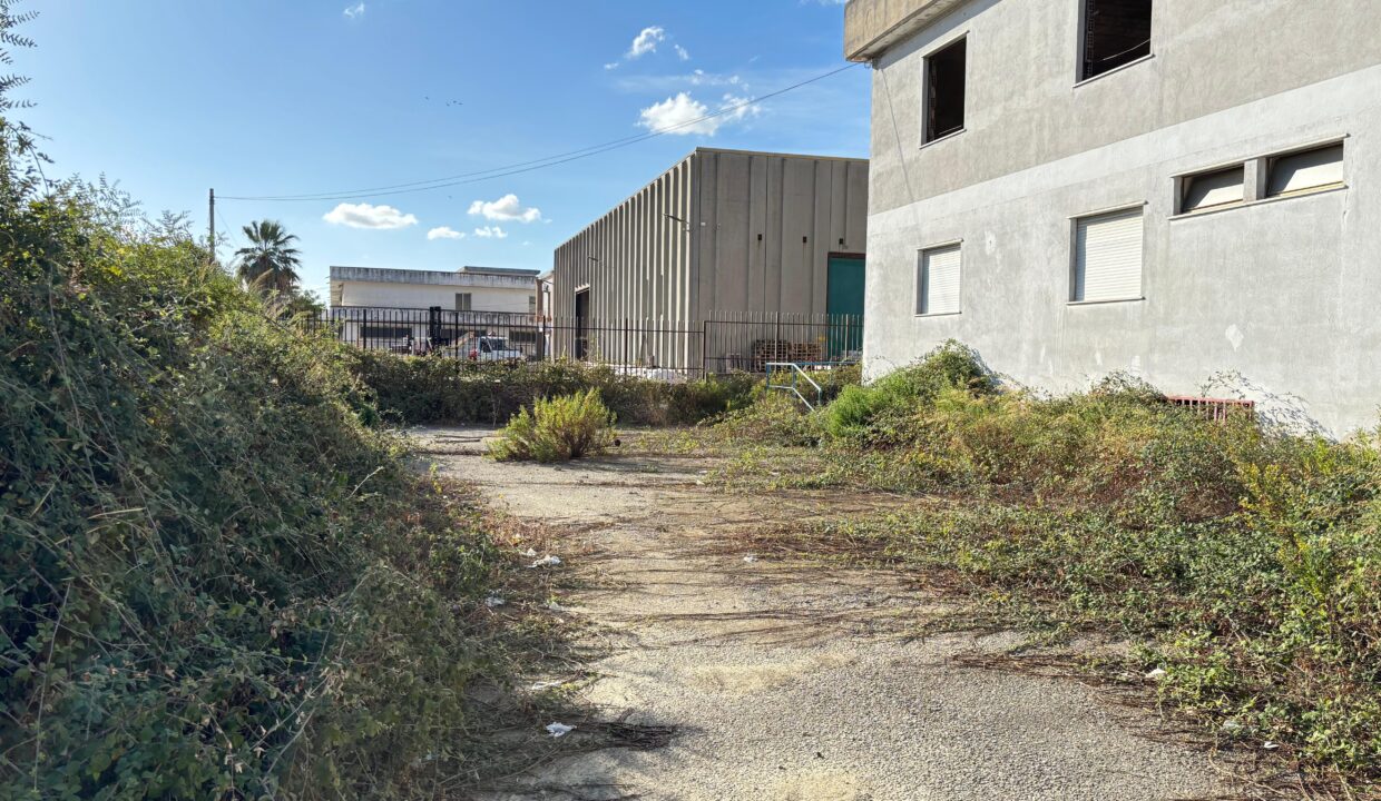 WhatsApp Image 2025-09-19 at 10.19.37 (3)