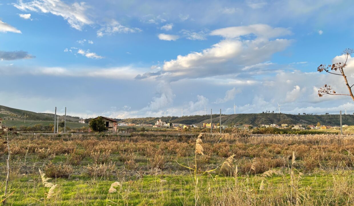 WhatsApp Image 2025-11-28 at 12.15.39 (1)