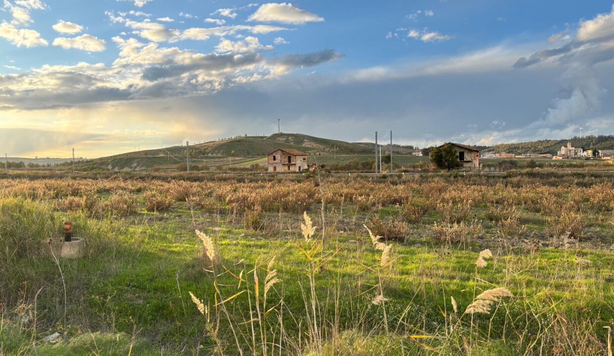 WhatsApp Image 2025-11-28 at 12.15.39