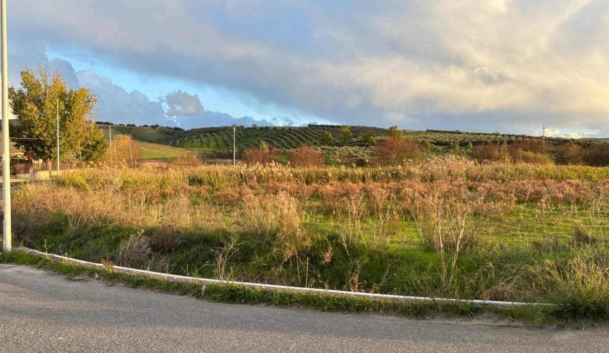 WhatsApp Image 2025-11-28 at 12.15.39 (2)