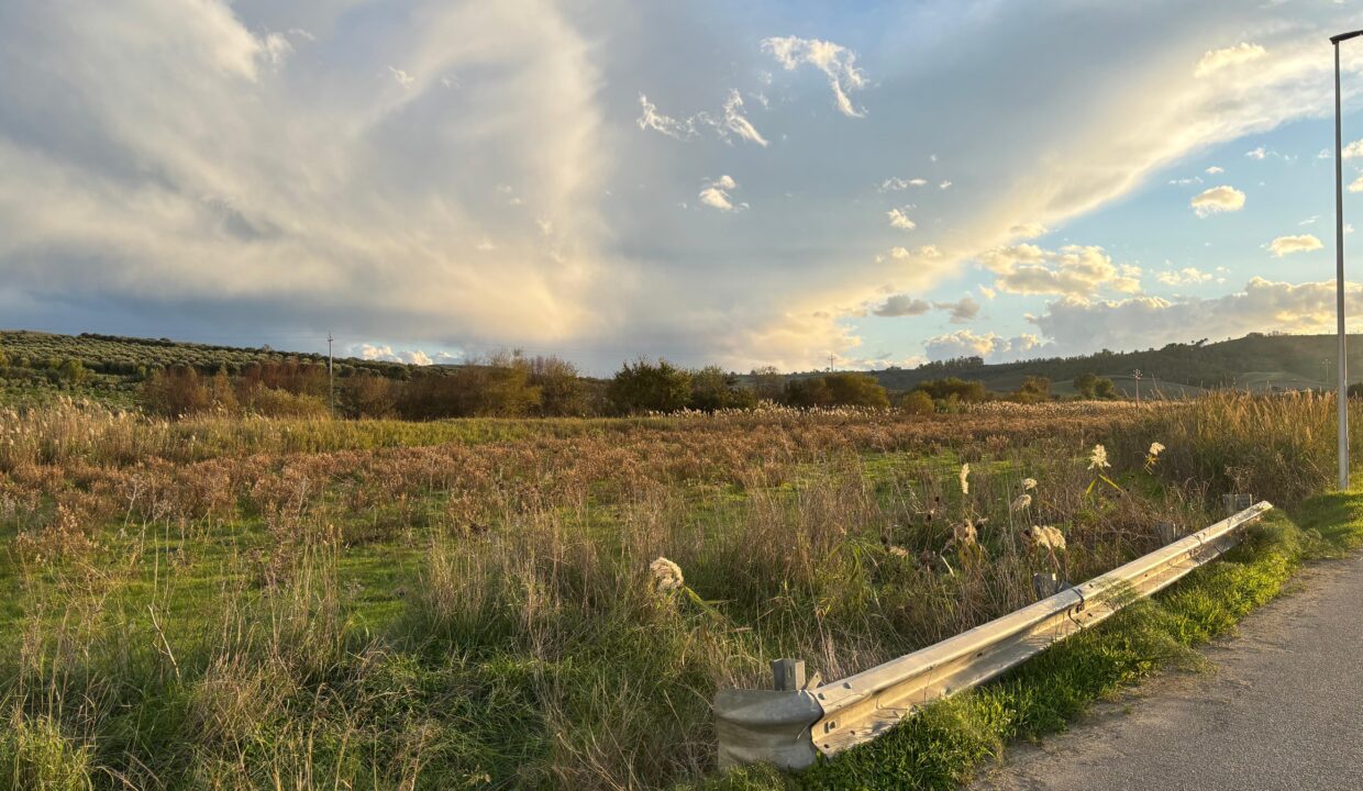 WhatsApp Image 2025-11-28 at 12.15.39 (3)