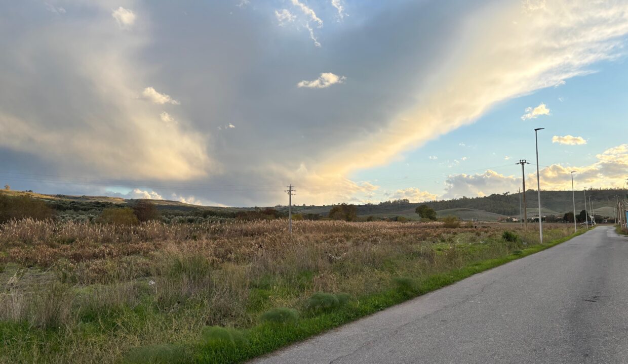 WhatsApp Image 2025-11-28 at 12.15.41