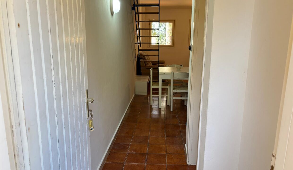 WhatsApp Image 2025-06-26 at 18.40.14