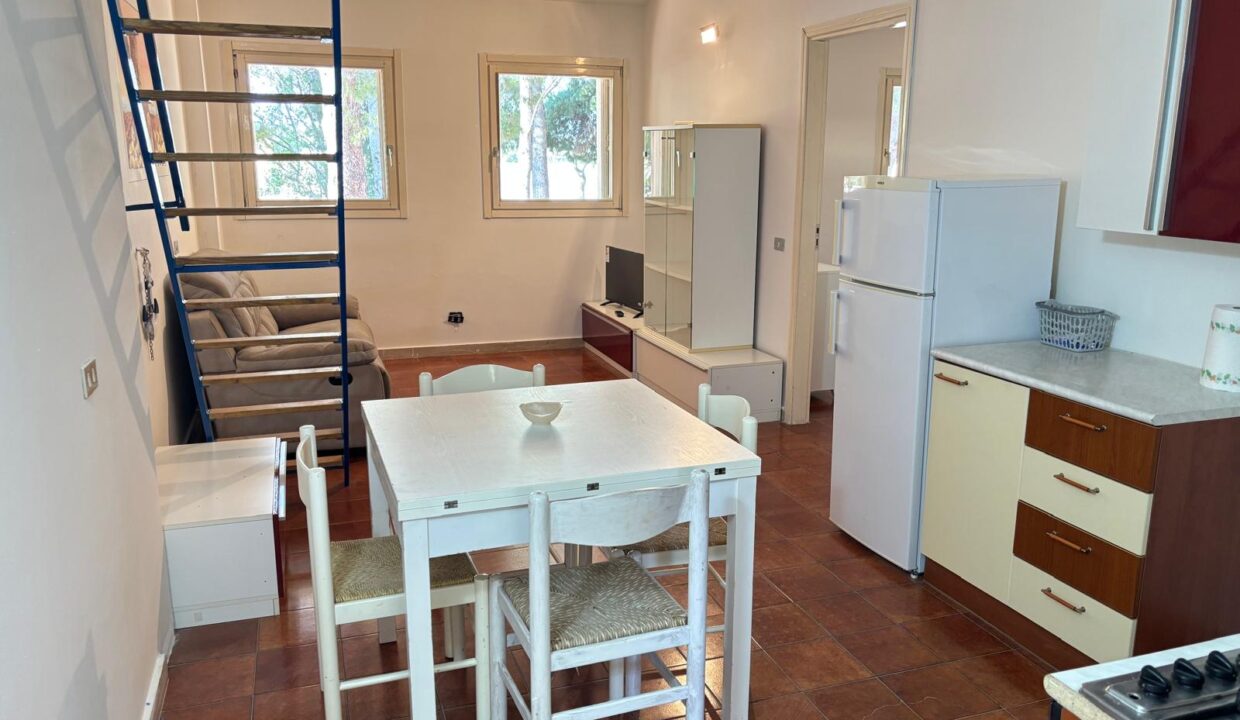 WhatsApp Image 2025-06-26 at 18.40.14 (5)