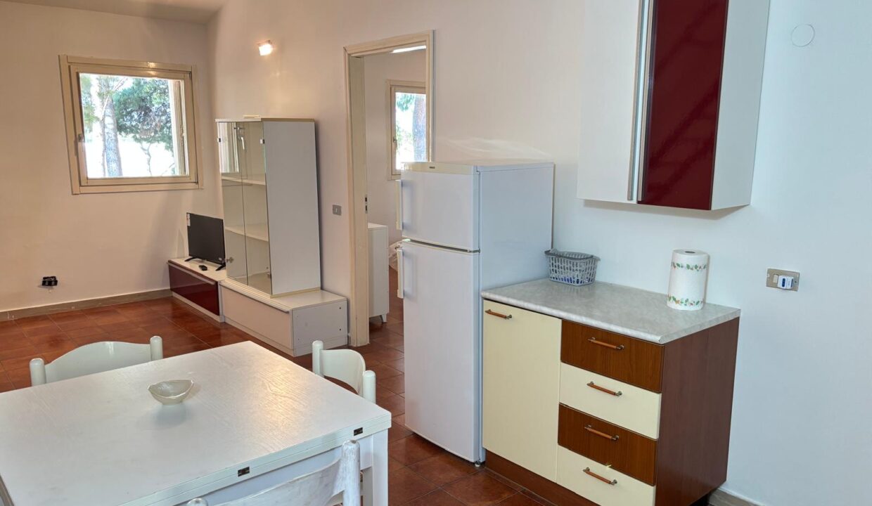 WhatsApp Image 2025-06-26 at 18.40.14 (6)