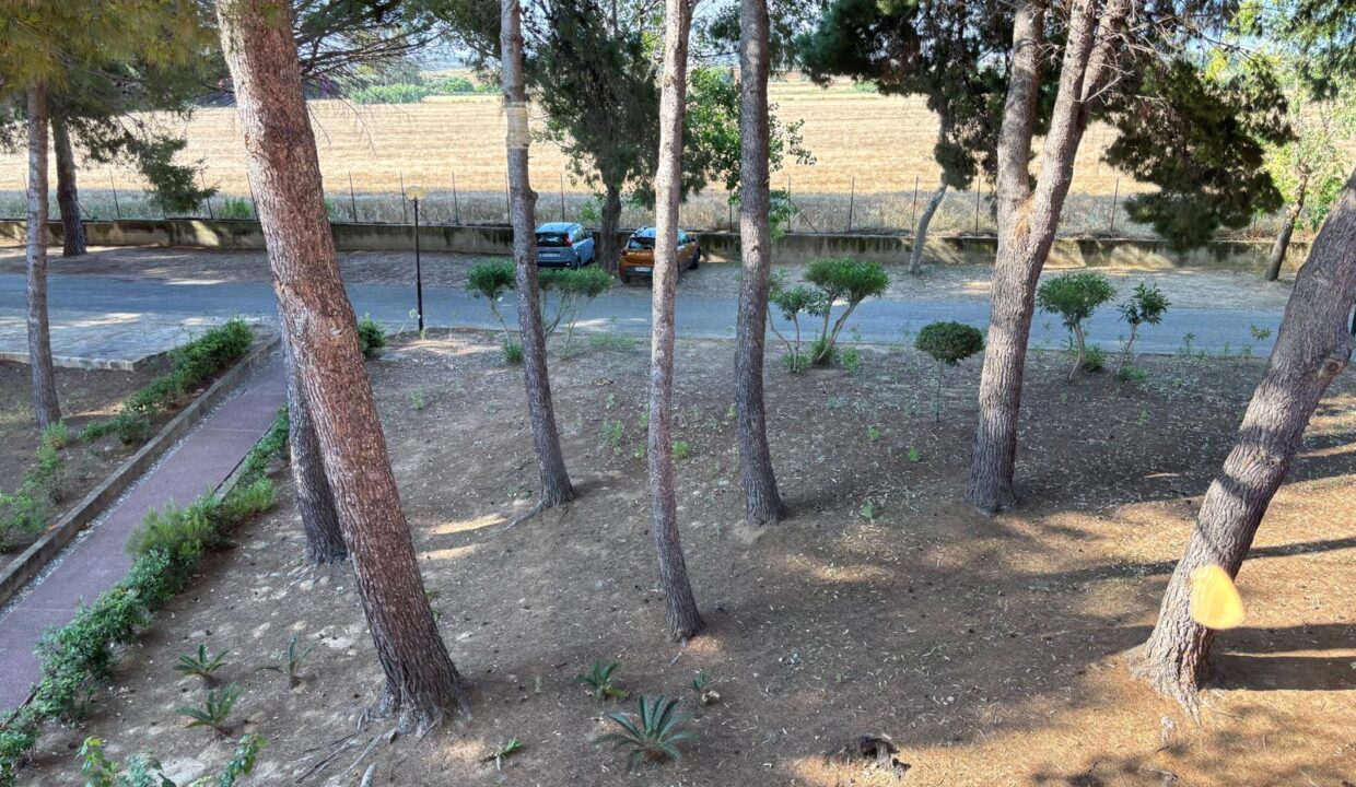 WhatsApp Image 2025-06-26 at 18.40.15