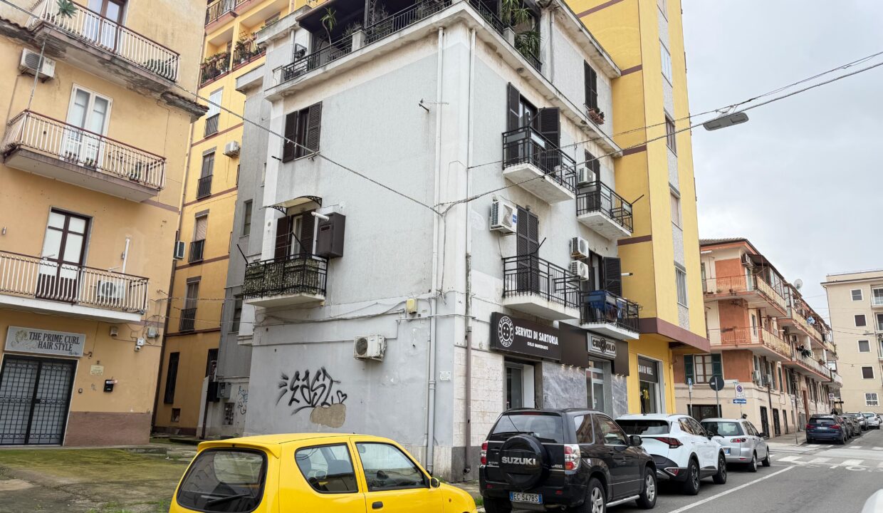 WhatsApp Image 2026-02-03 at 12.29.29