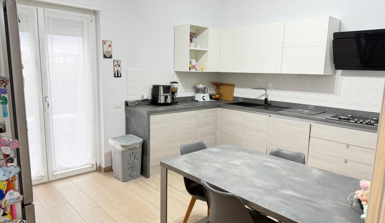 WhatsApp Image 2026-02-24 at 11.50.30