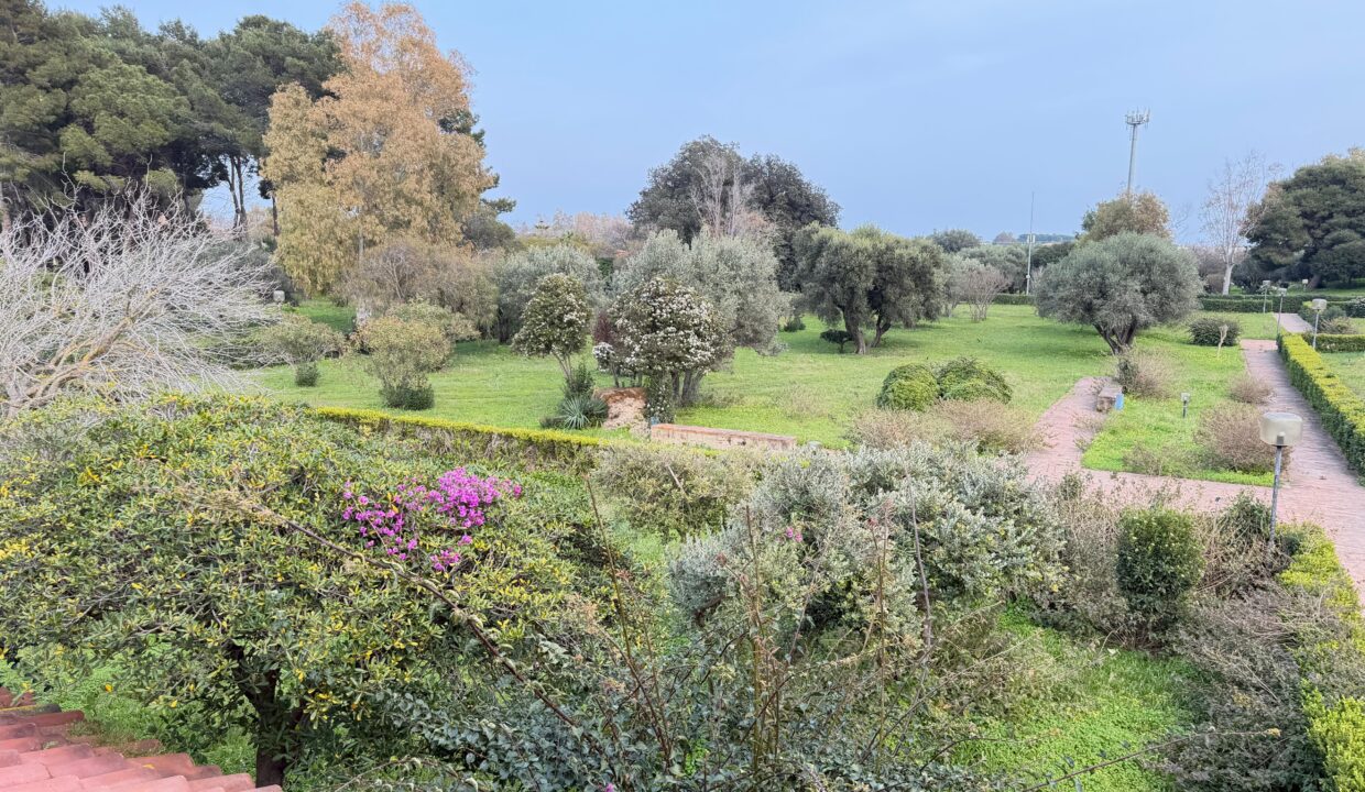 WhatsApp Image 2026-03-05 at 18.54.23 (14)