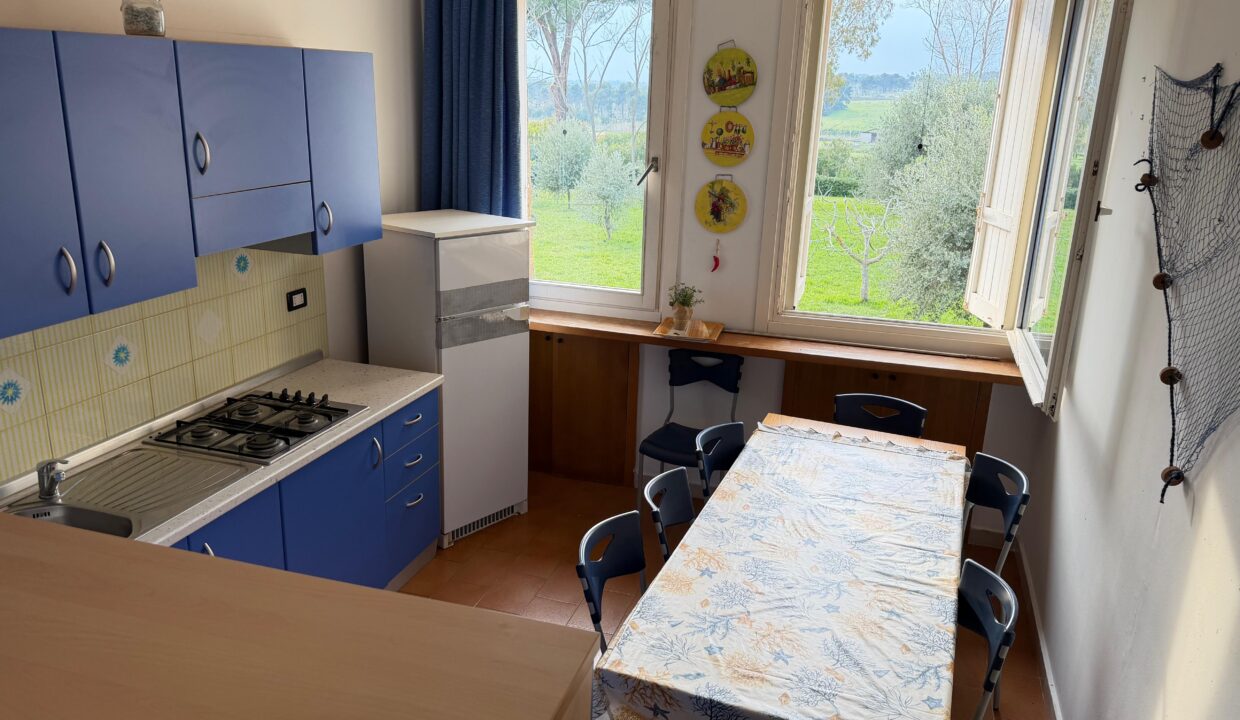 WhatsApp Image 2026-03-05 at 18.54.23 (7)