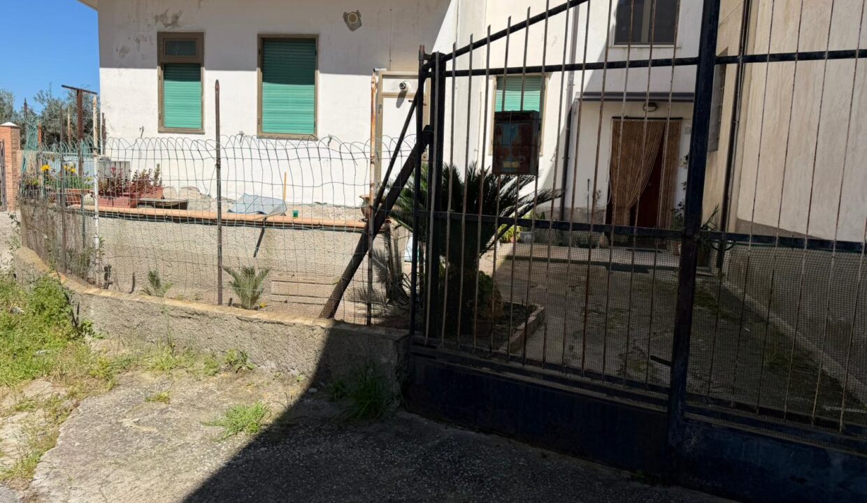 WhatsApp Image 2026-04-07 at 15.11.02