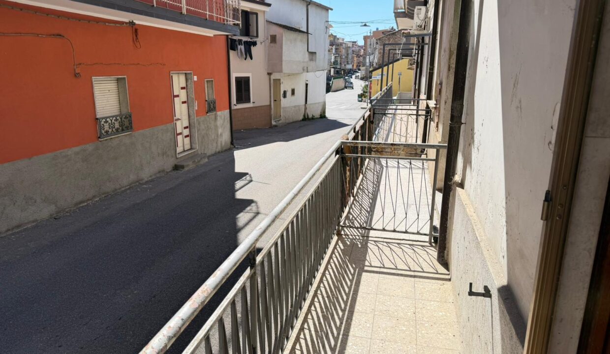 WhatsApp Image 2026-04-07 at 15.11.03 (3)