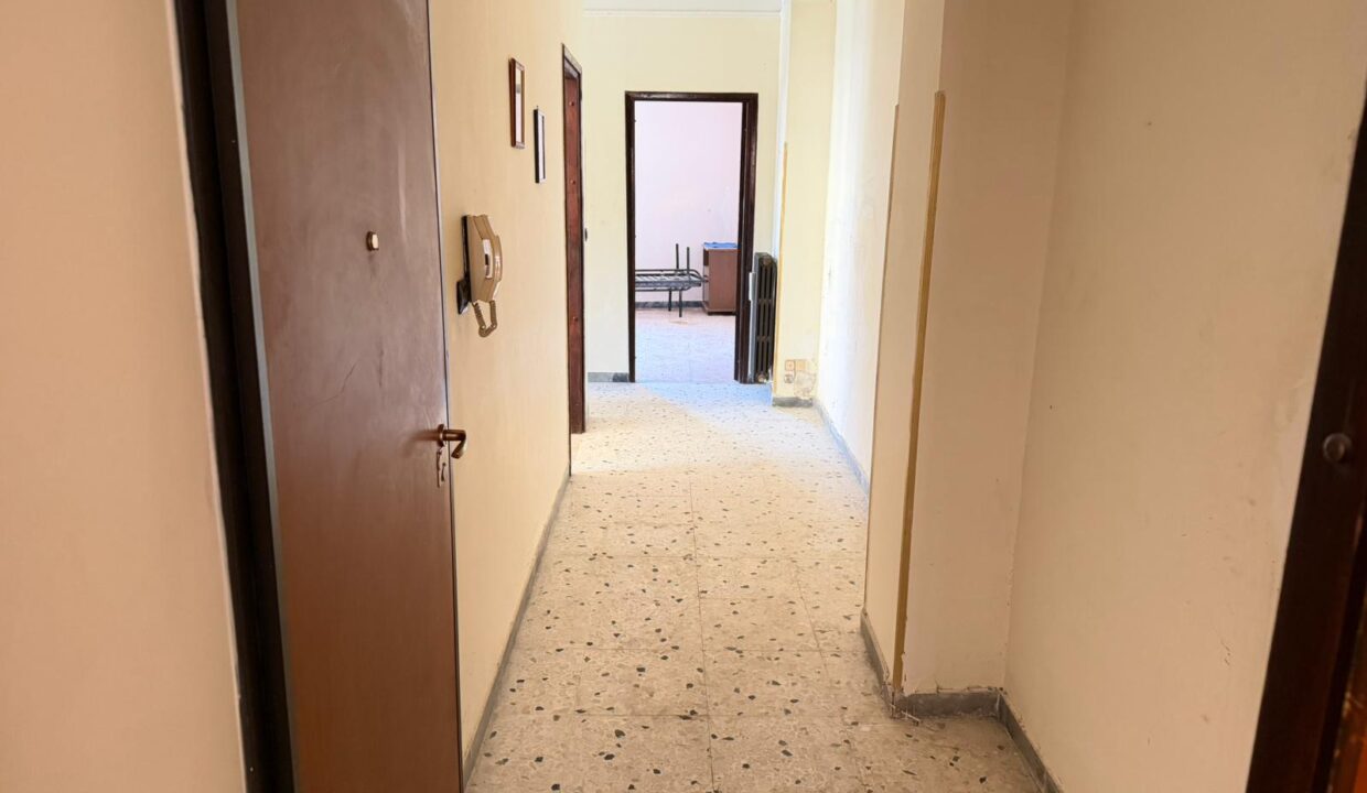 WhatsApp Image 2026-04-07 at 15.11.04