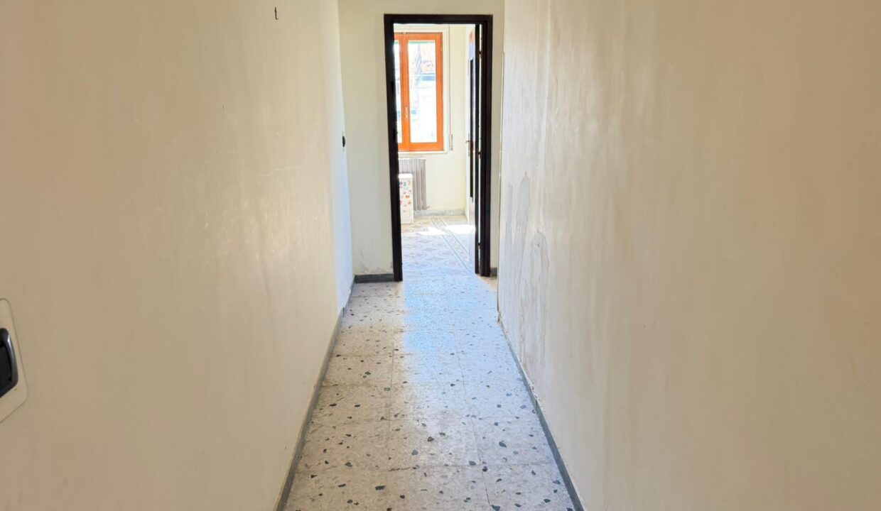 WhatsApp Image 2026-04-07 at 15.11.06