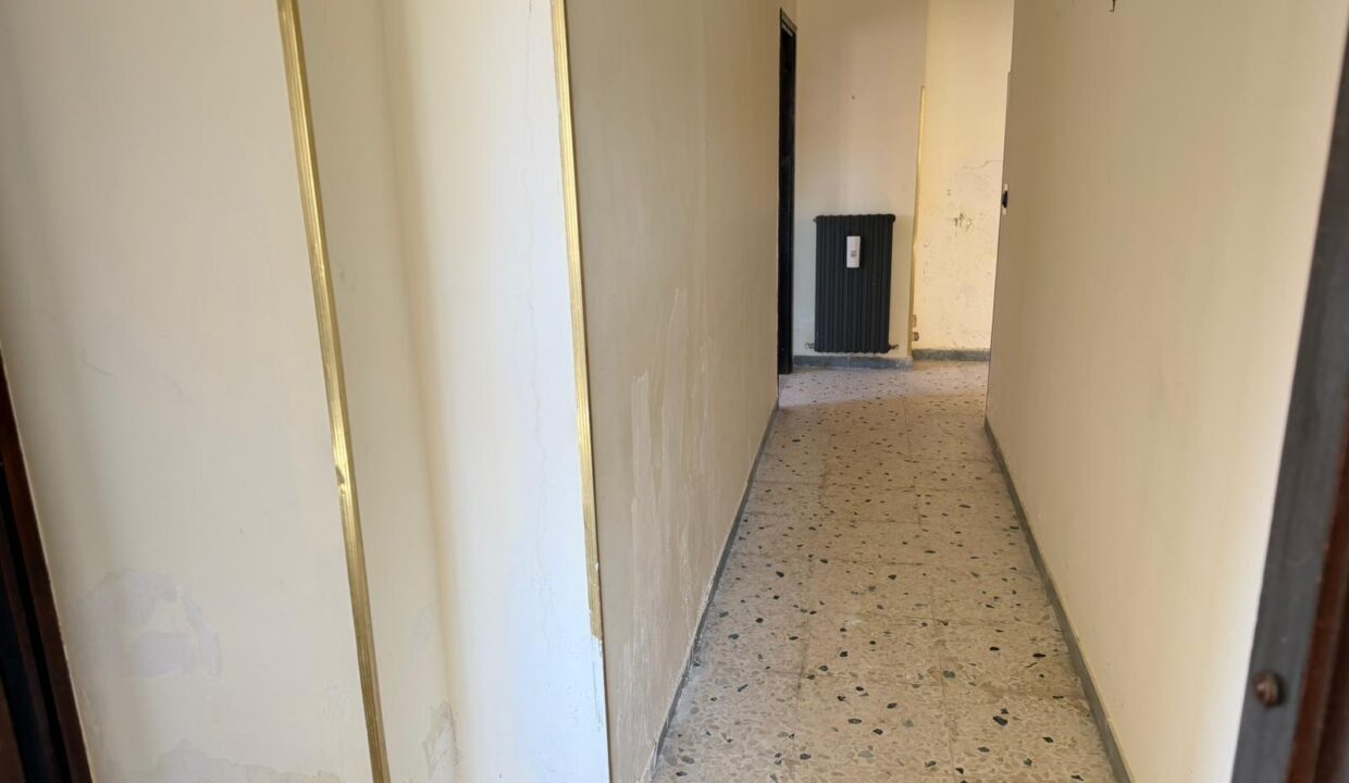 WhatsApp Image 2026-04-07 at 15.11.06 (3)