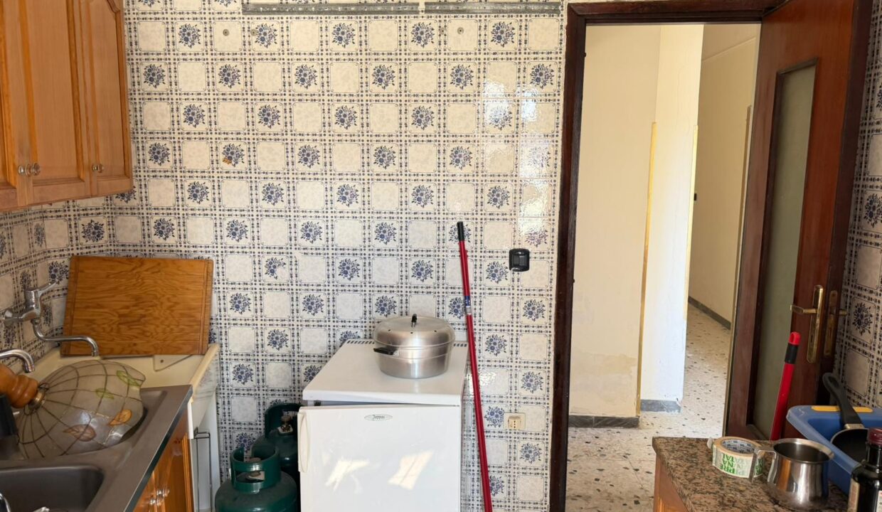 WhatsApp Image 2026-04-07 at 15.11.07