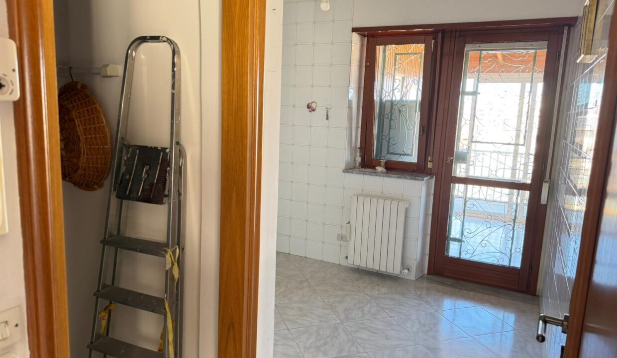 WhatsApp Image 2026-04-08 at 18.28.38 (3)